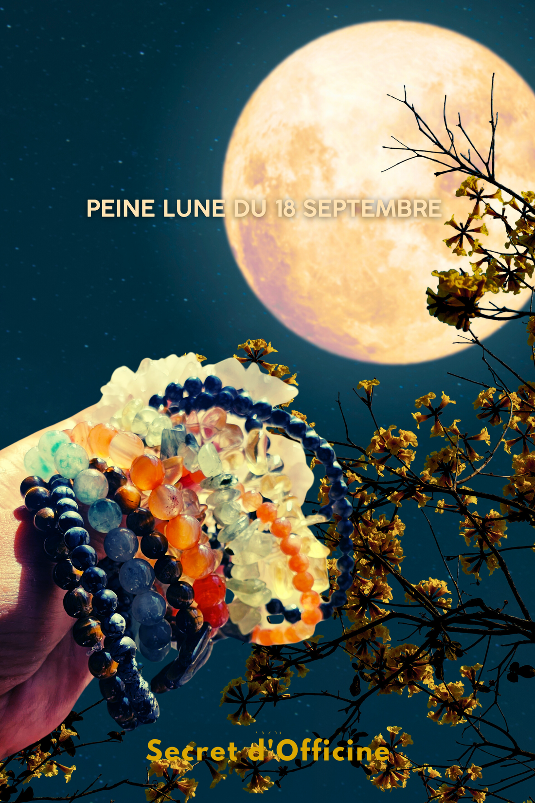 La Puissance de la Pleine Lune 