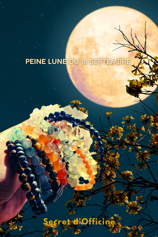 La Puissance de la Pleine Lune 