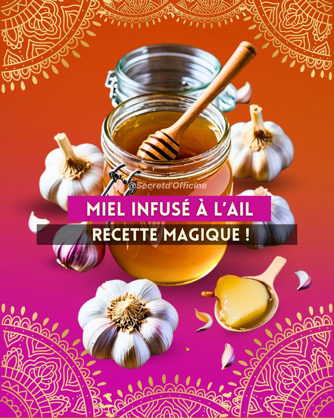 Miel Infusé à l’Ail : Le Remède Naturel pour Renforcer l’Immunité