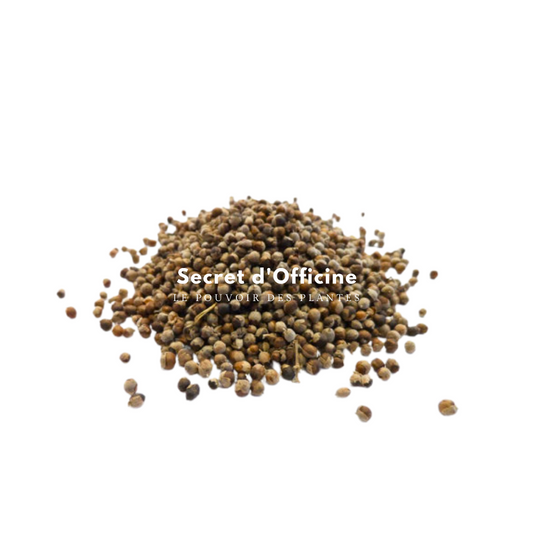 Gatillier : Cycle menstruel, Ménopause, Bien-être Féminin