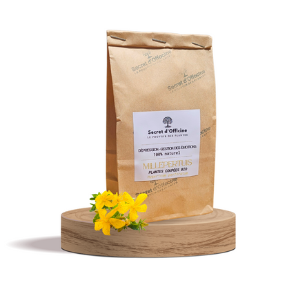 Millepertuis, plantes coupées bio Équilibre Émotionnel et Sérénité Naturelle
