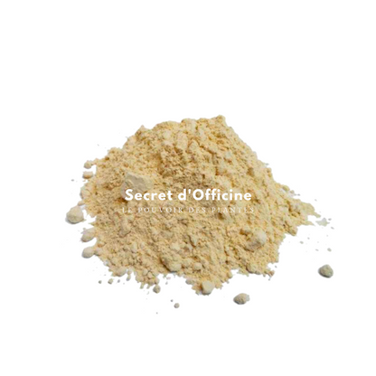 Shatavari : Soutien Hormonal et Vitalité Naturelle