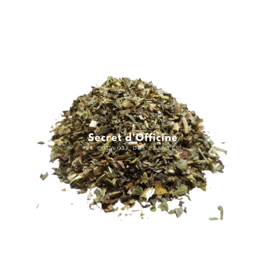 Chardon-Marie : Le Protecteur Naturel du Foie