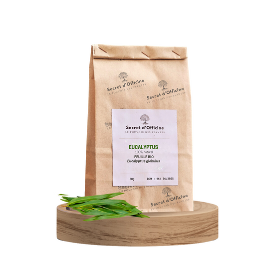 Feuilles Bio d'Eucalyptus : Voies respiratoires libérées et Glycémie équilibrée