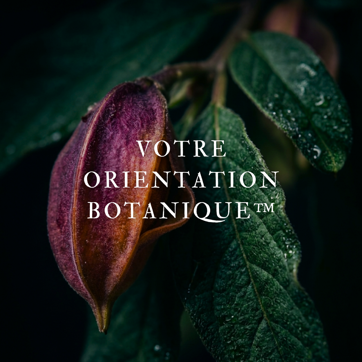 Orientation Botanique™