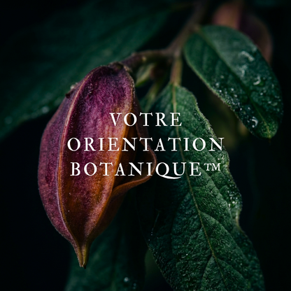Orientation Botanique™