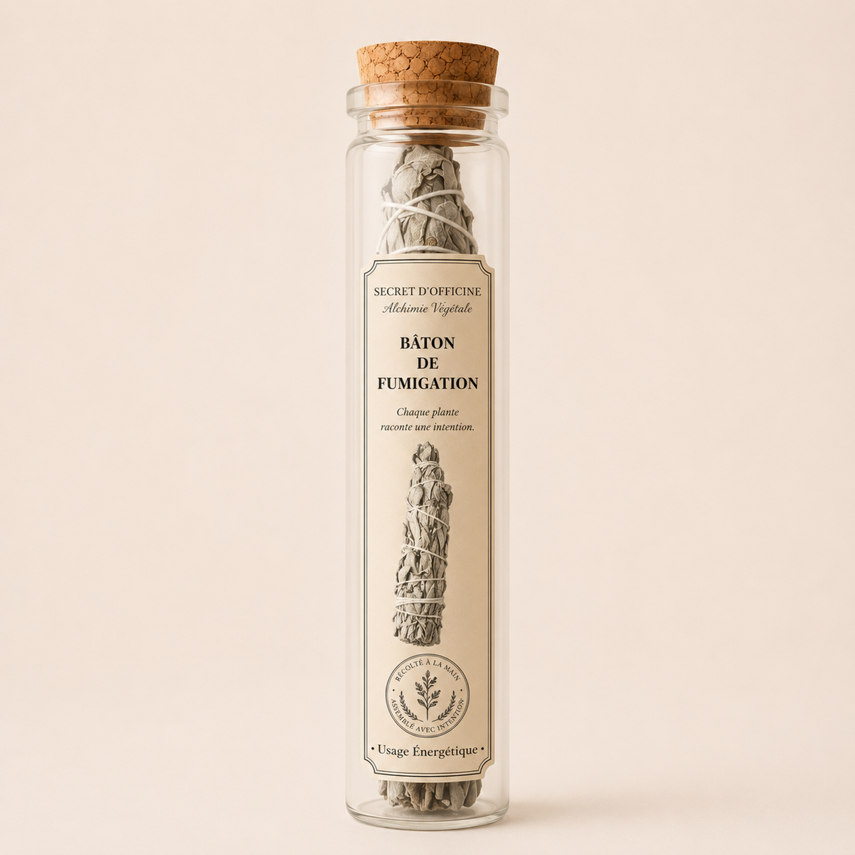 Sauge de Saint-Paul | Rituel du Grand Nettoyage