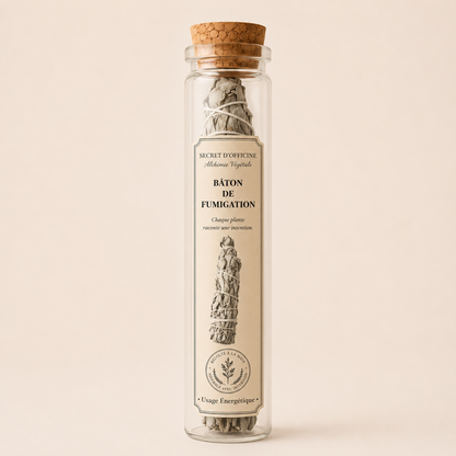 Sauge de Saint-Paul | Rituel du Grand Nettoyage