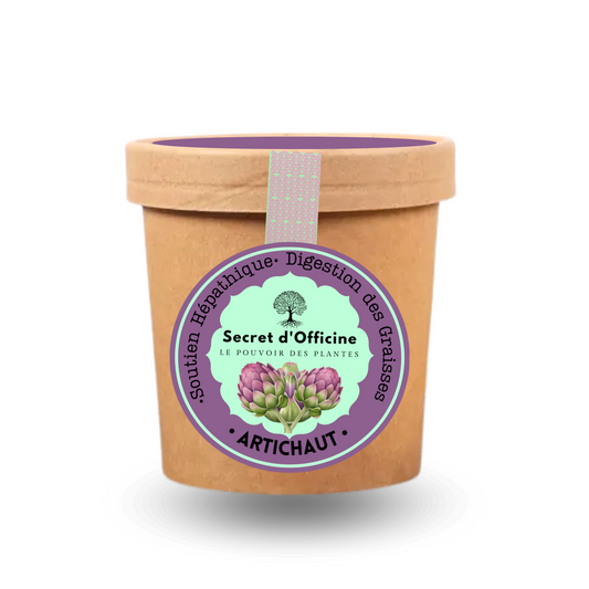 Tisane d'Artichaut Bio – L’Amie du Foie