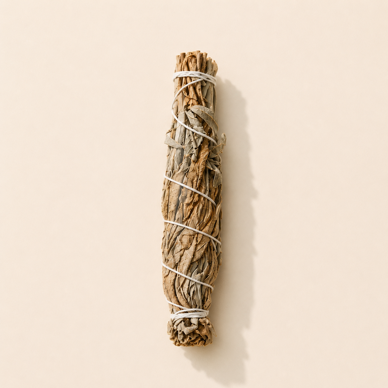 Sauge de Saint-Paul | Rituel du Grand Nettoyage